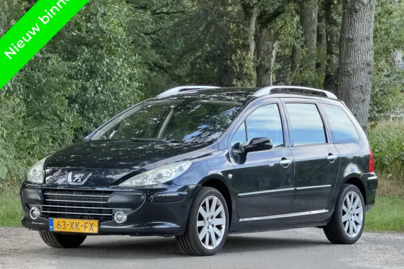 Peugeot 307 (2007)