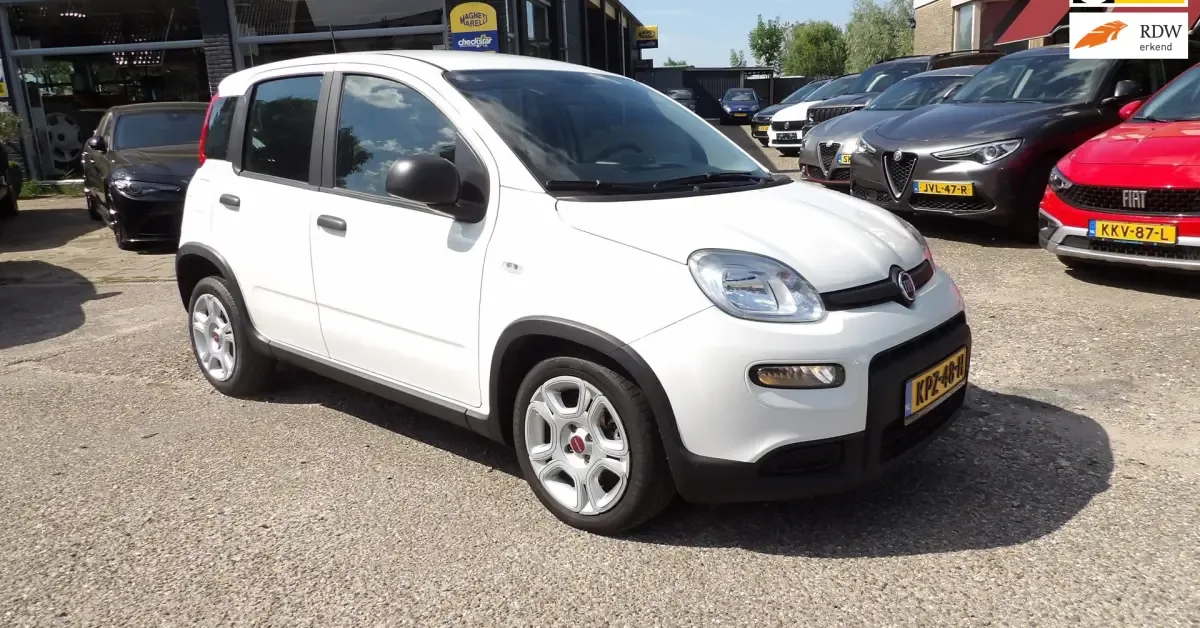 Fiat Panda (2024) — foto 1