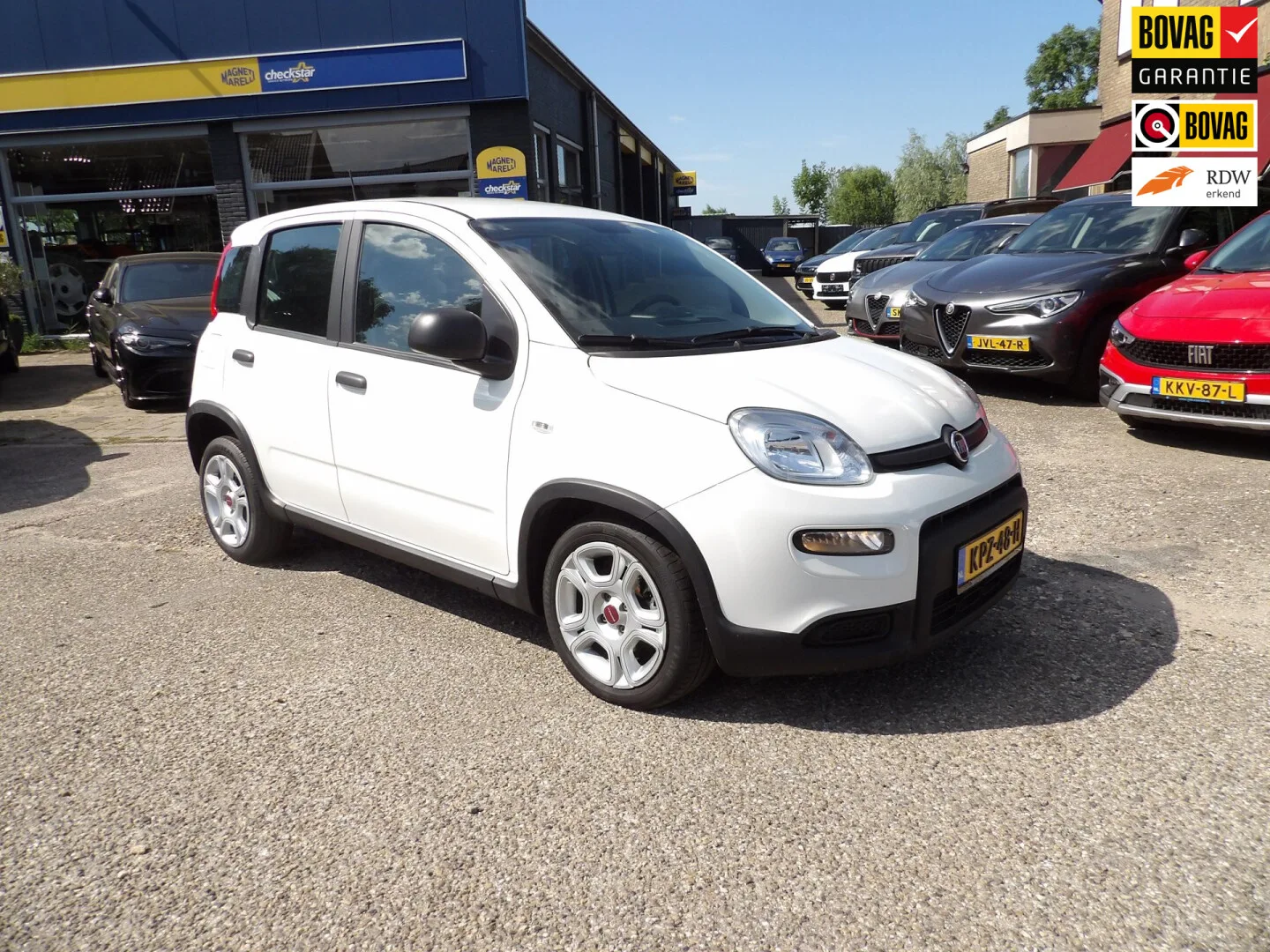Fiat Panda (2024) — foto 1