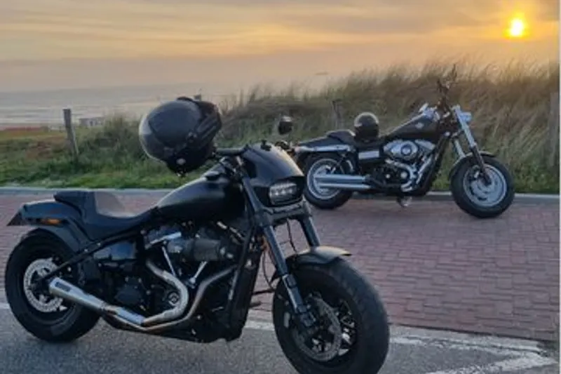 Harley-Davidson FAT BOB 114 (2019)