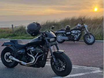 HARLEY-DAVIDSON Fatbob (2019) — foto 1