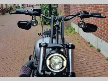 HARLEY-DAVIDSON STREET (2020) — foto 1