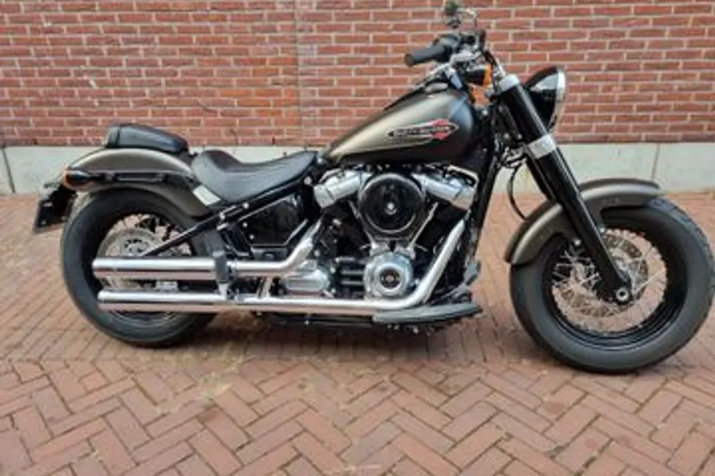 Harley-Davidson Softail (2021)
