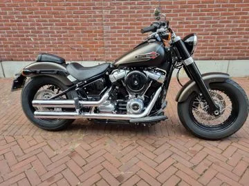 HARLEY-DAVIDSON Softail (2021) — foto 1