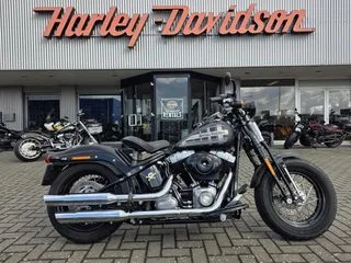 Harley-Davidson Cross Bones (2009) — foto 1