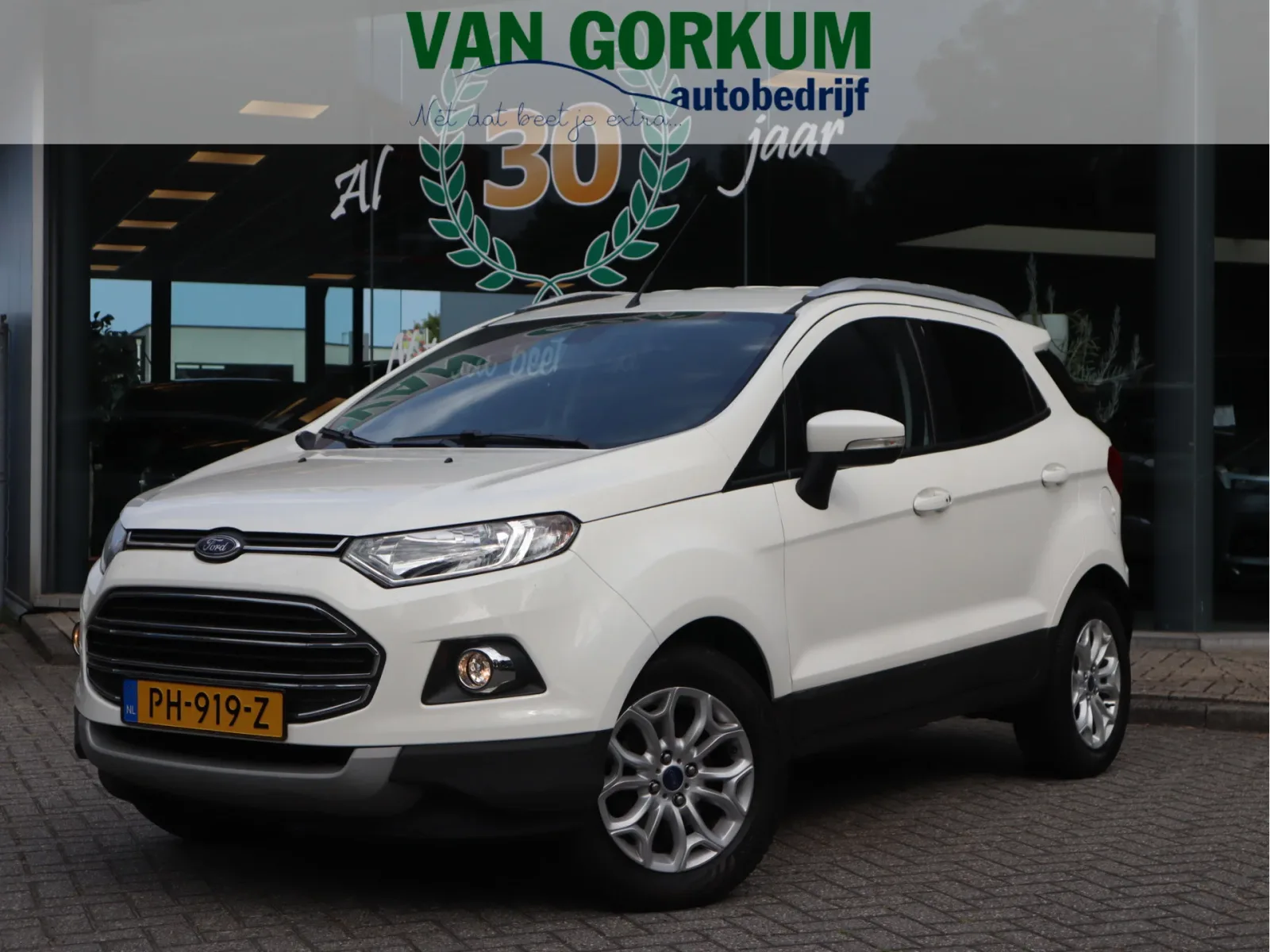 Ford EcoSport (2017) — foto 1