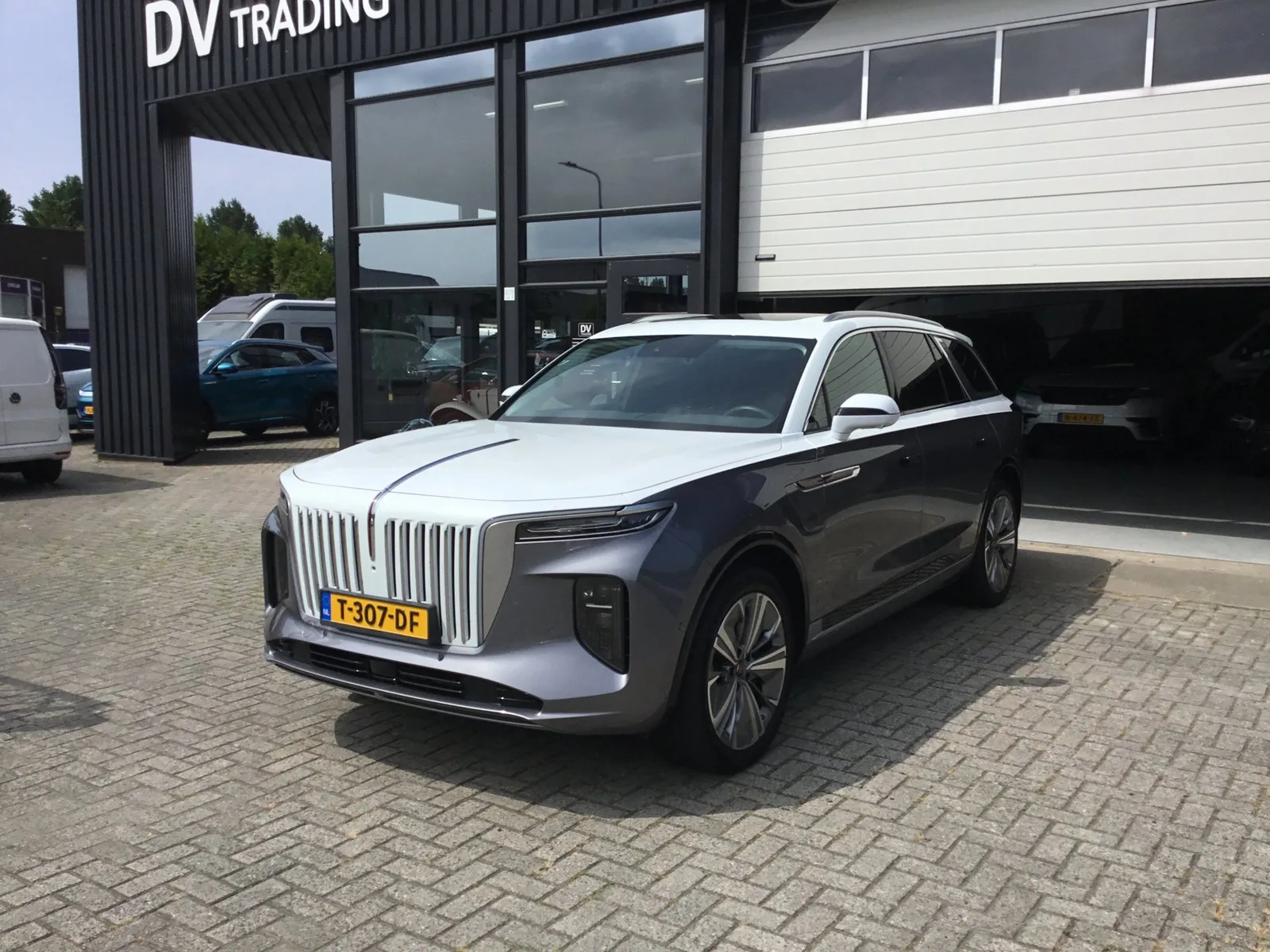 Hongqi E-HS9 (2023) — foto 1