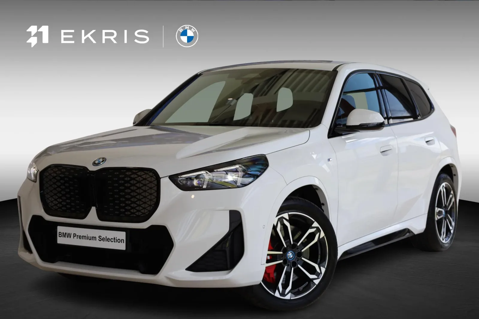 BMW iX1 (2024) — foto 1