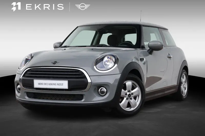 MINI 1.5 One First Salt (2021)