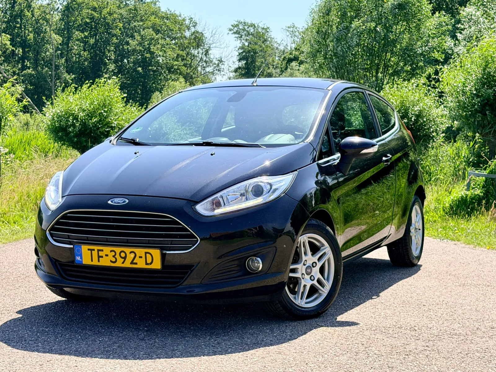 Ford Fiesta (2013) — foto 1