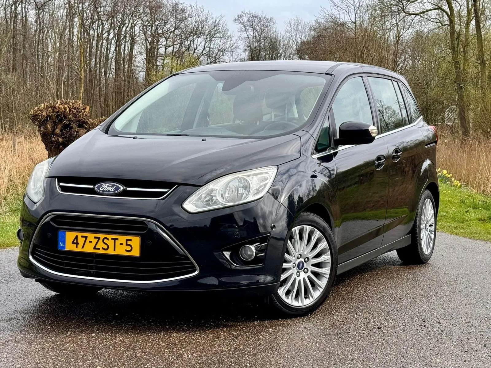 Ford Grand C-Max (2013) — foto 1