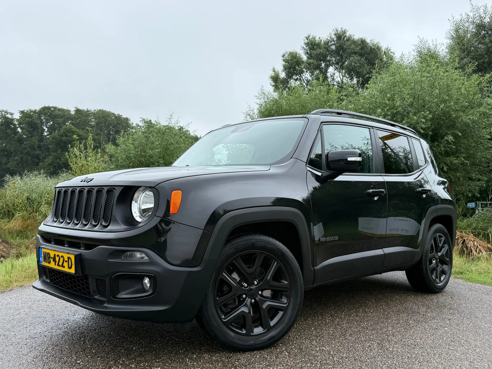 Jeep Renegade (2017) — foto 1