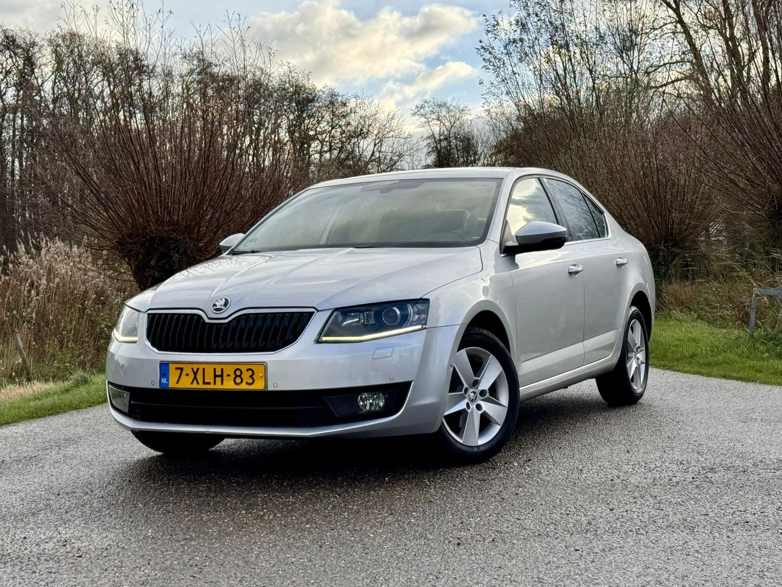 Škoda Octavia (2014) — foto 1