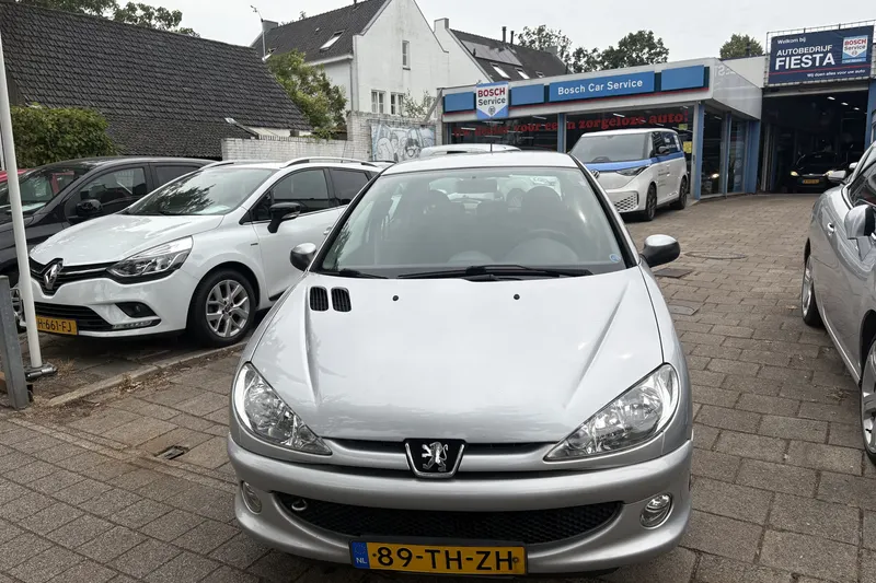 Peugeot 206 (2006)