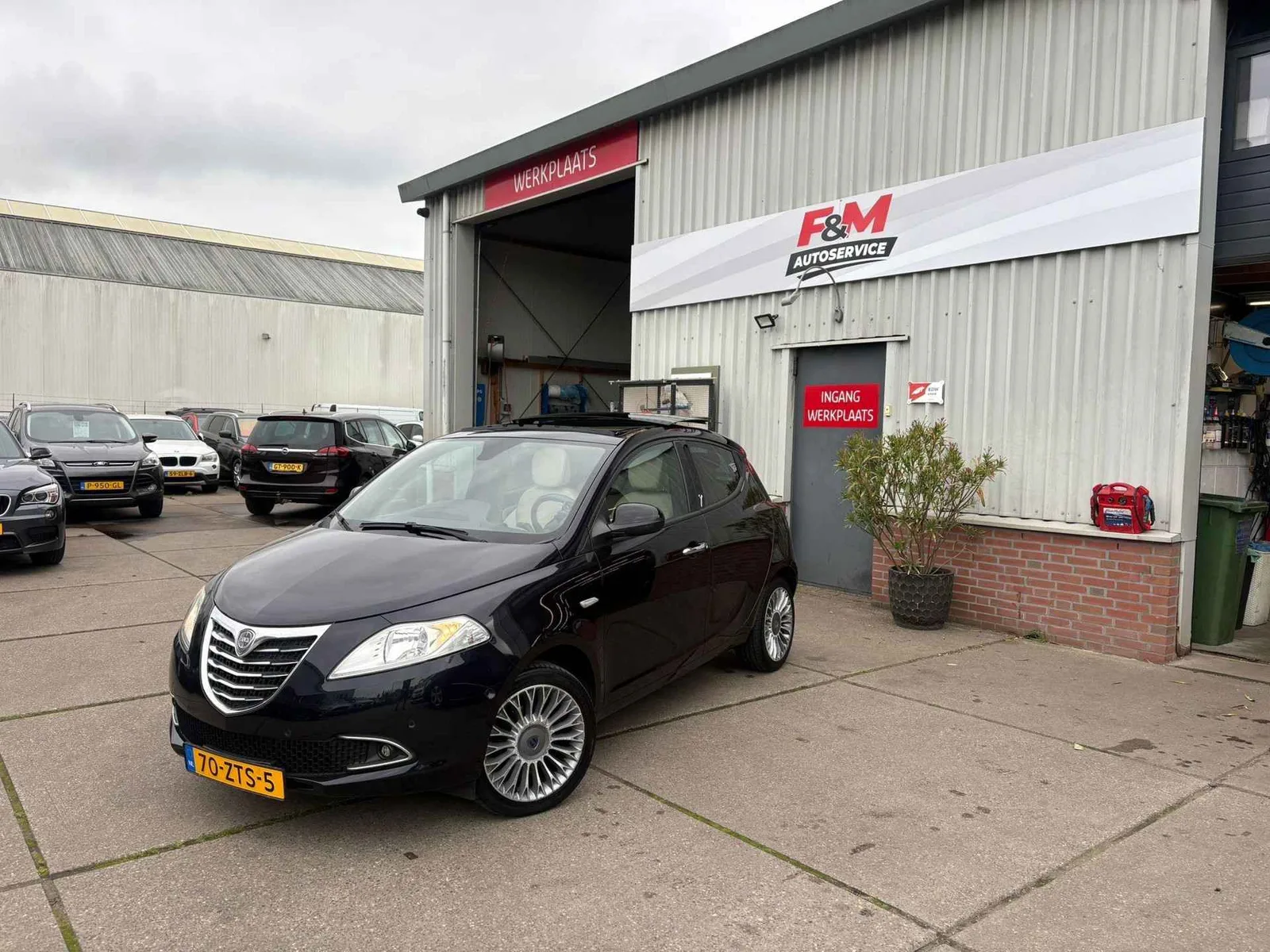 Lancia Ypsilon (2013) — foto 1
