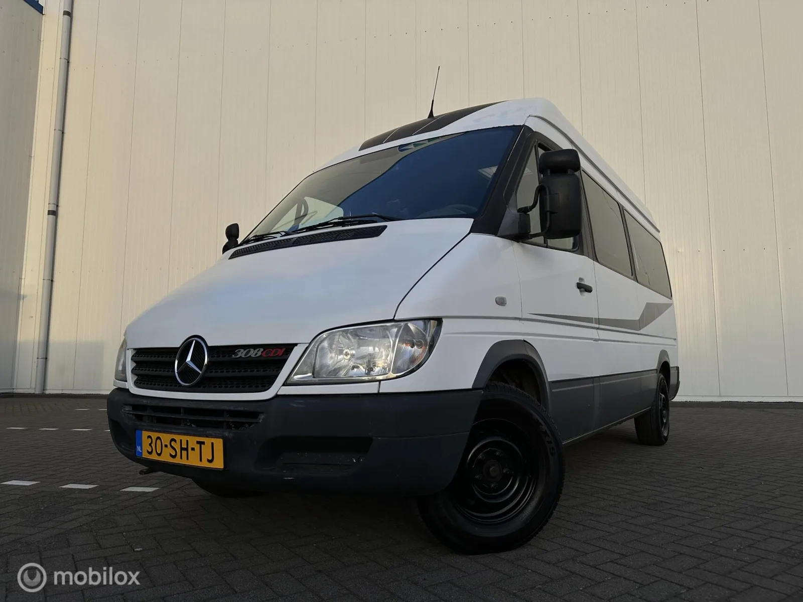 Mercedes-Benz 308 (2006) — foto 1