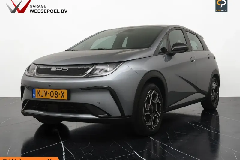 BYD Dolphin (2024)