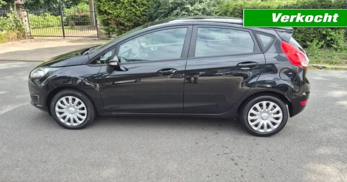 Ford Fiesta (2013) — foto 1