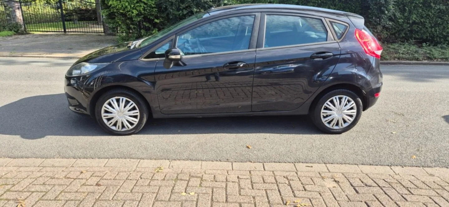 Ford Fiesta (2010) — foto 1