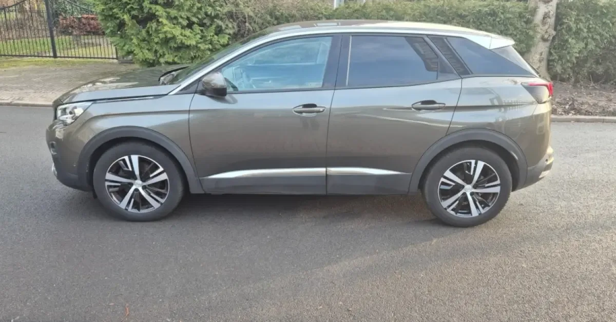 Peugeot 3008 (2019) — foto 1