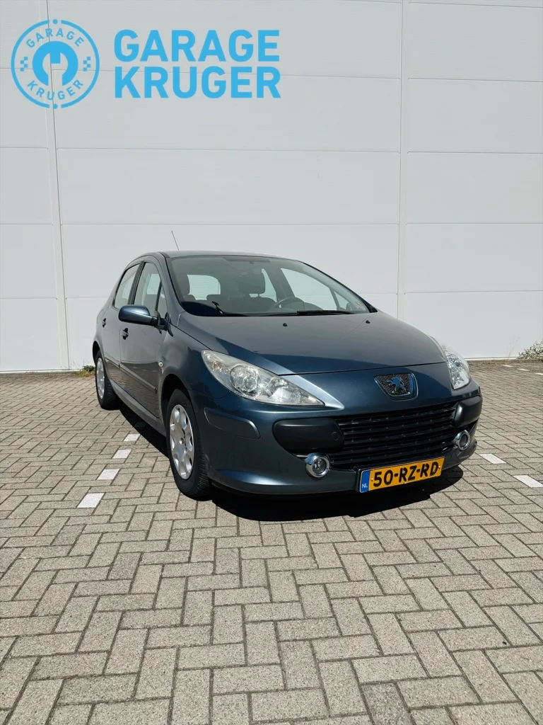 Peugeot 307 (2006) — foto 1
