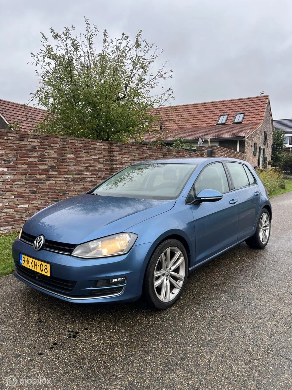 Volkswagen Golf (2013) — foto 1