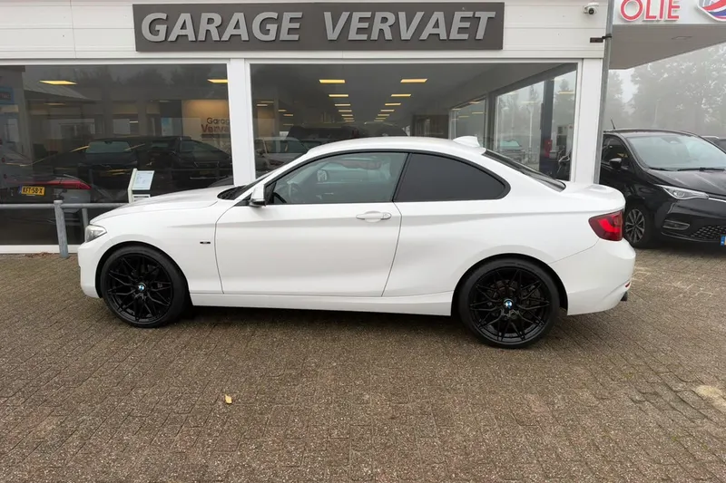 BMW 2-Serie (2014)