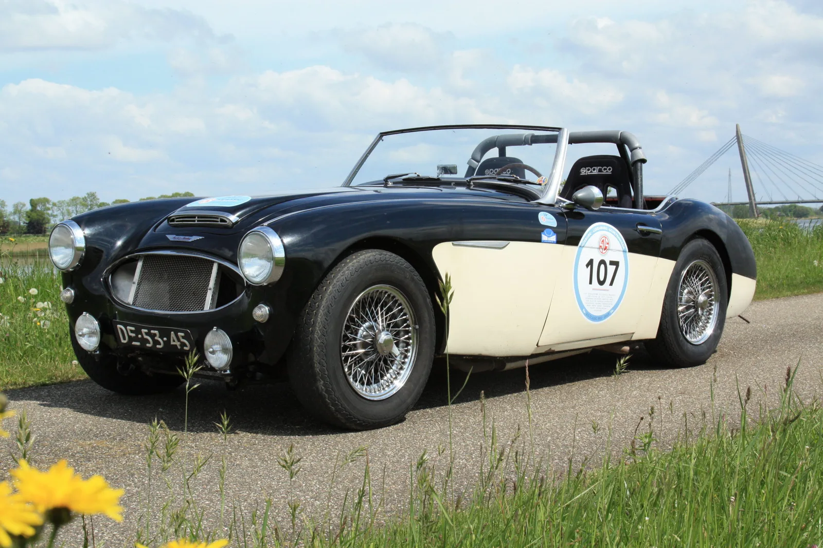 Austin Healey (0) — foto 1