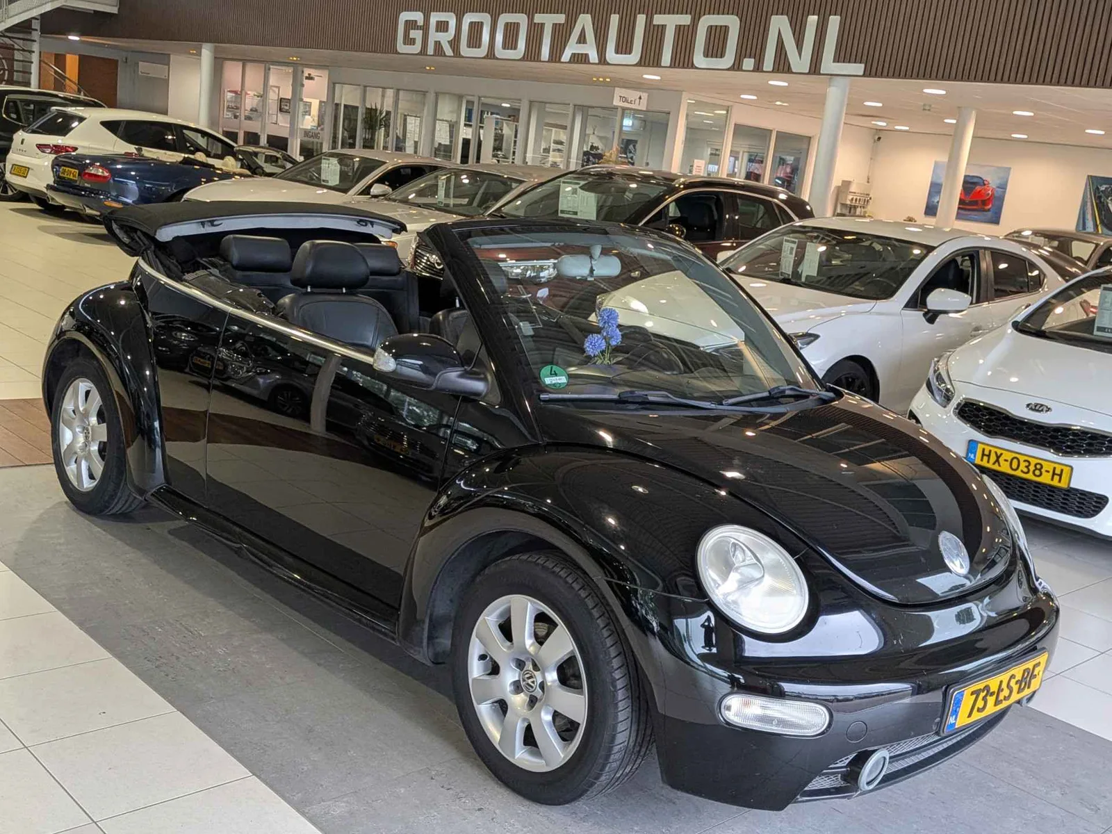 Volkswagen New Beetle (2003) — foto 1