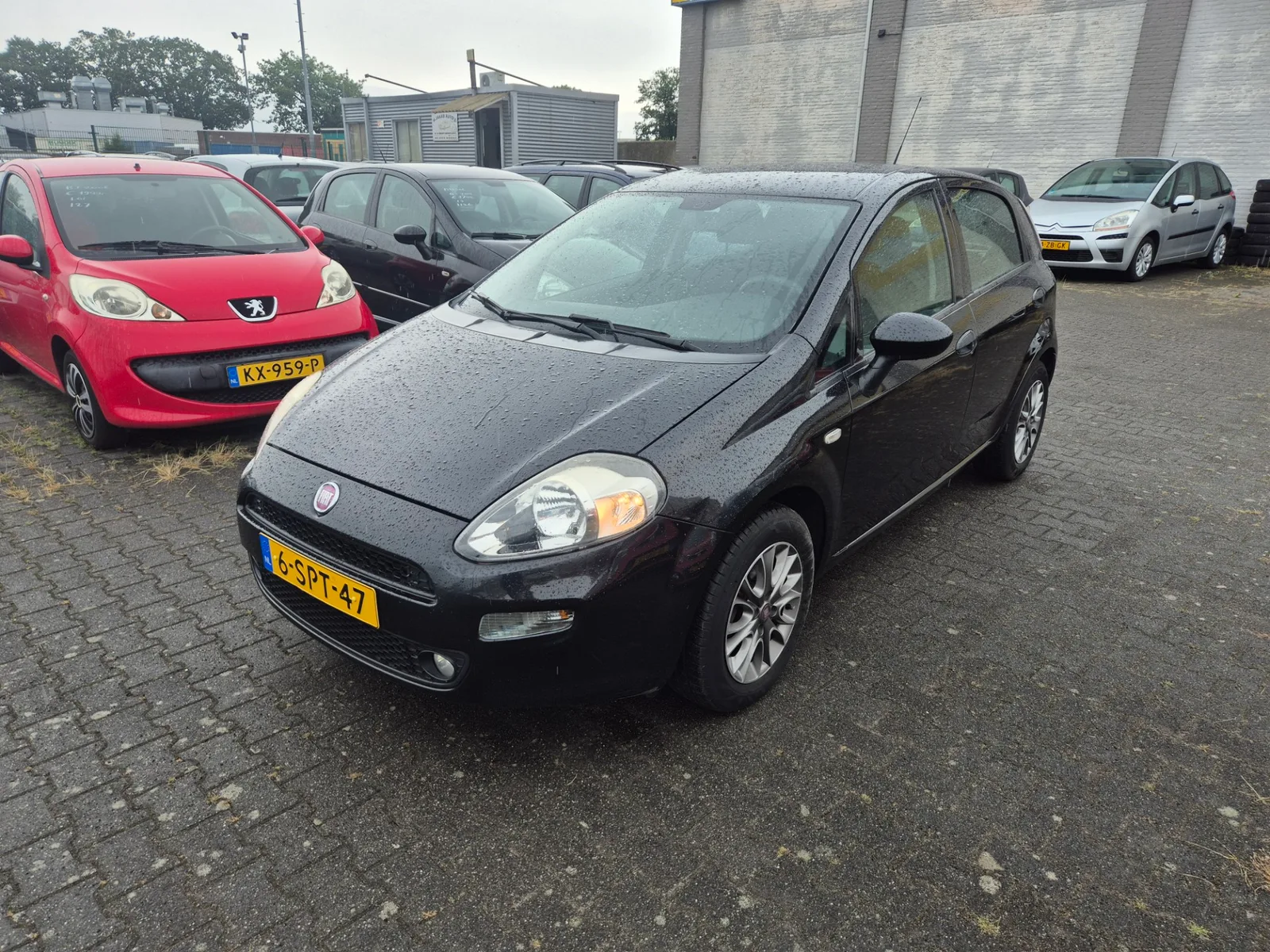 Fiat Punto (2012) — foto 1
