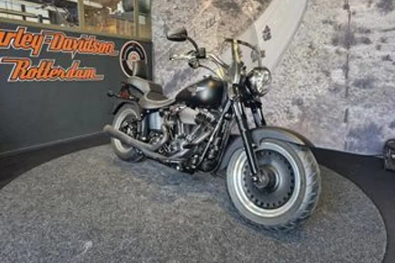 Harley-Davidson FAT BOY Special (2011)