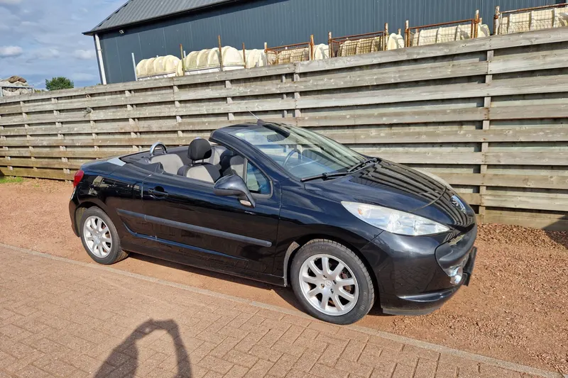 Peugeot 207 (2008)