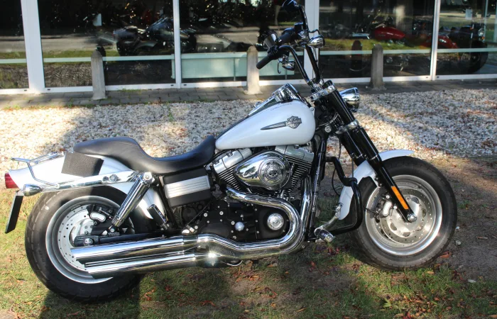 DS Dyna (2011) — foto 1