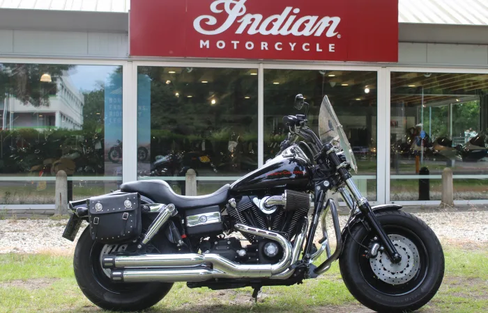 DS Dyna (2008) — foto 1