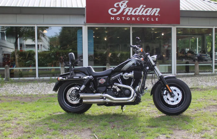 DS Dyna (2015) — foto 1