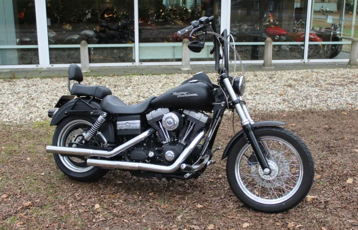 DS Dyna (2007) — foto 1