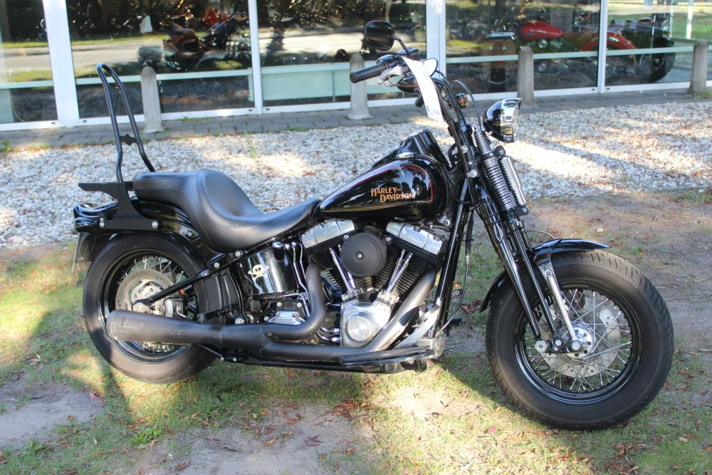Harley-Davidson Cross Bones (2009) — foto 1