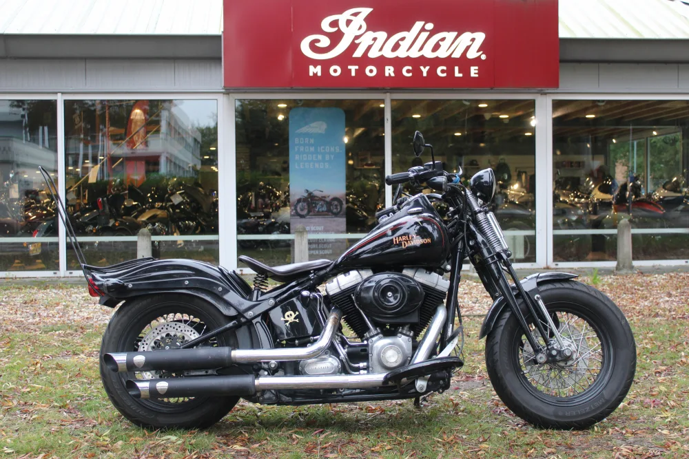 Harley-Davidson Cross Bones (2009) — foto 1
