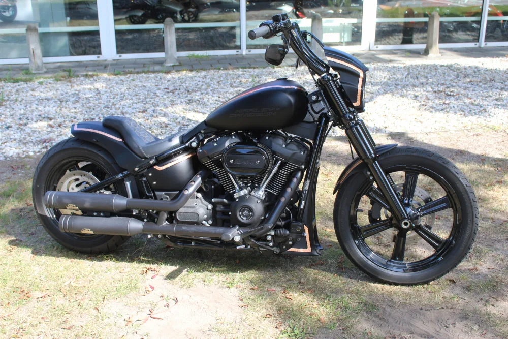 Harley-Davidson Softail (2023) — foto 1