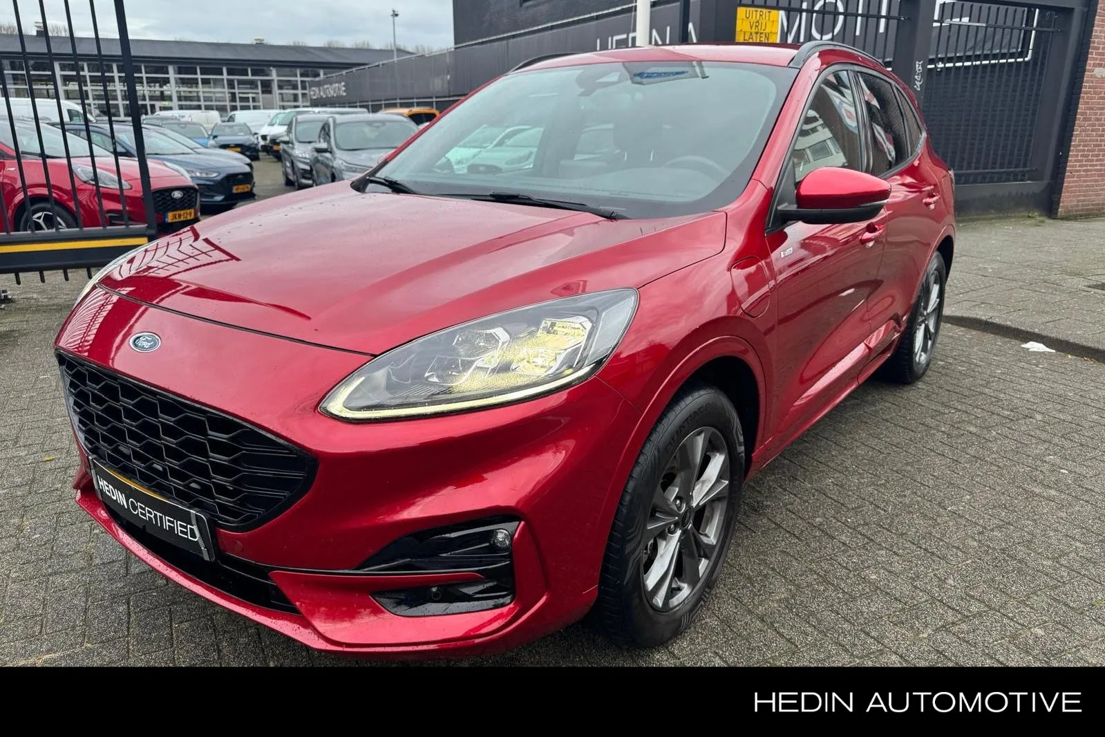 Ford Kuga (2021) — foto 1