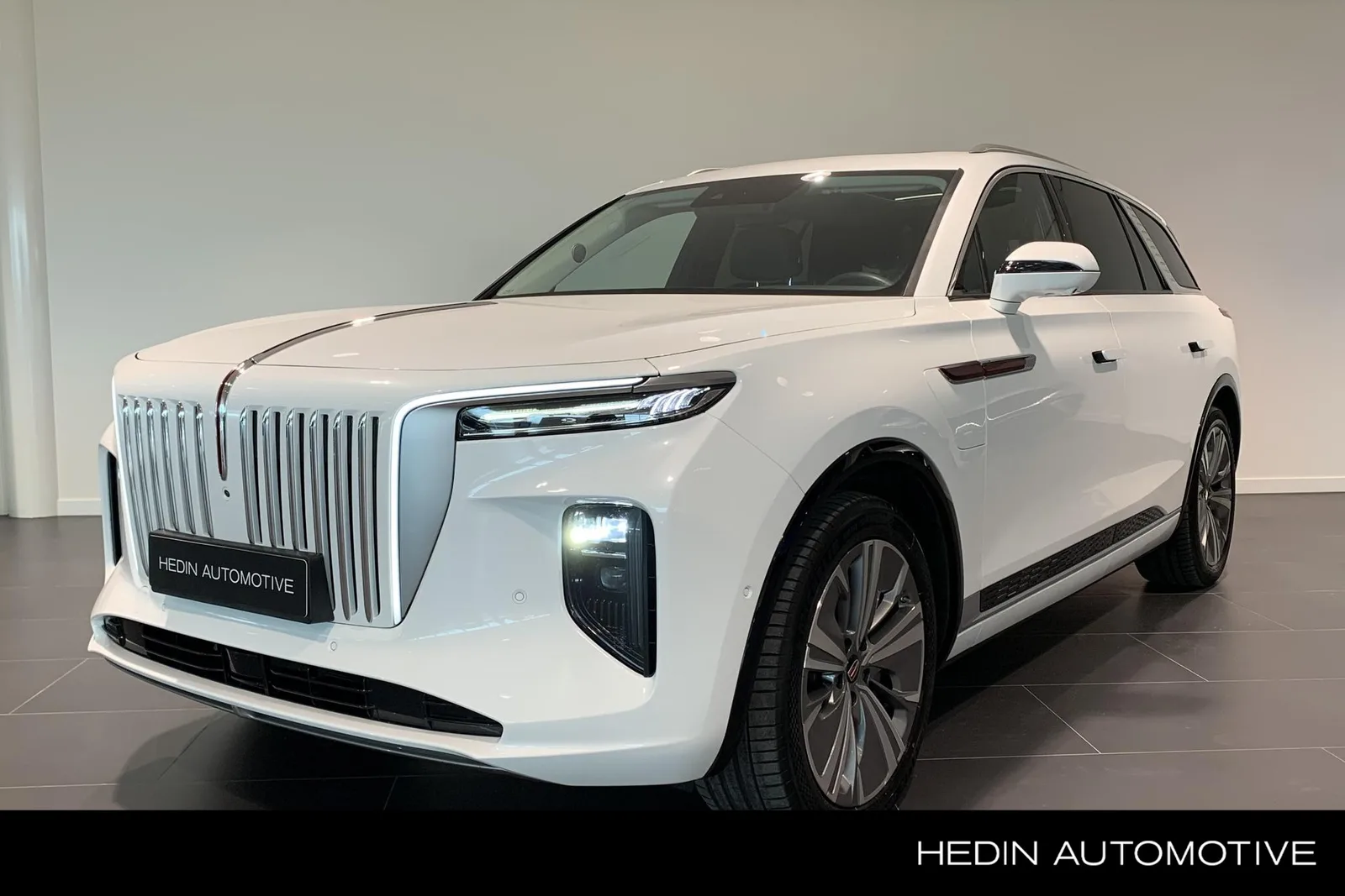 Hongqi E-HS9 (2024) — foto 1