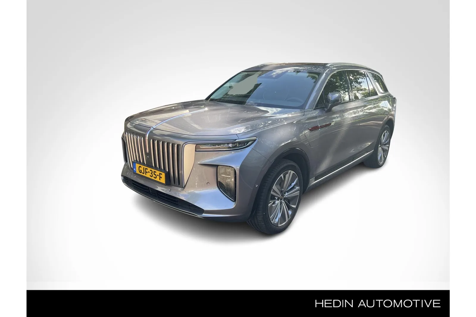 Hongqi E-HS9 (2024) — foto 1