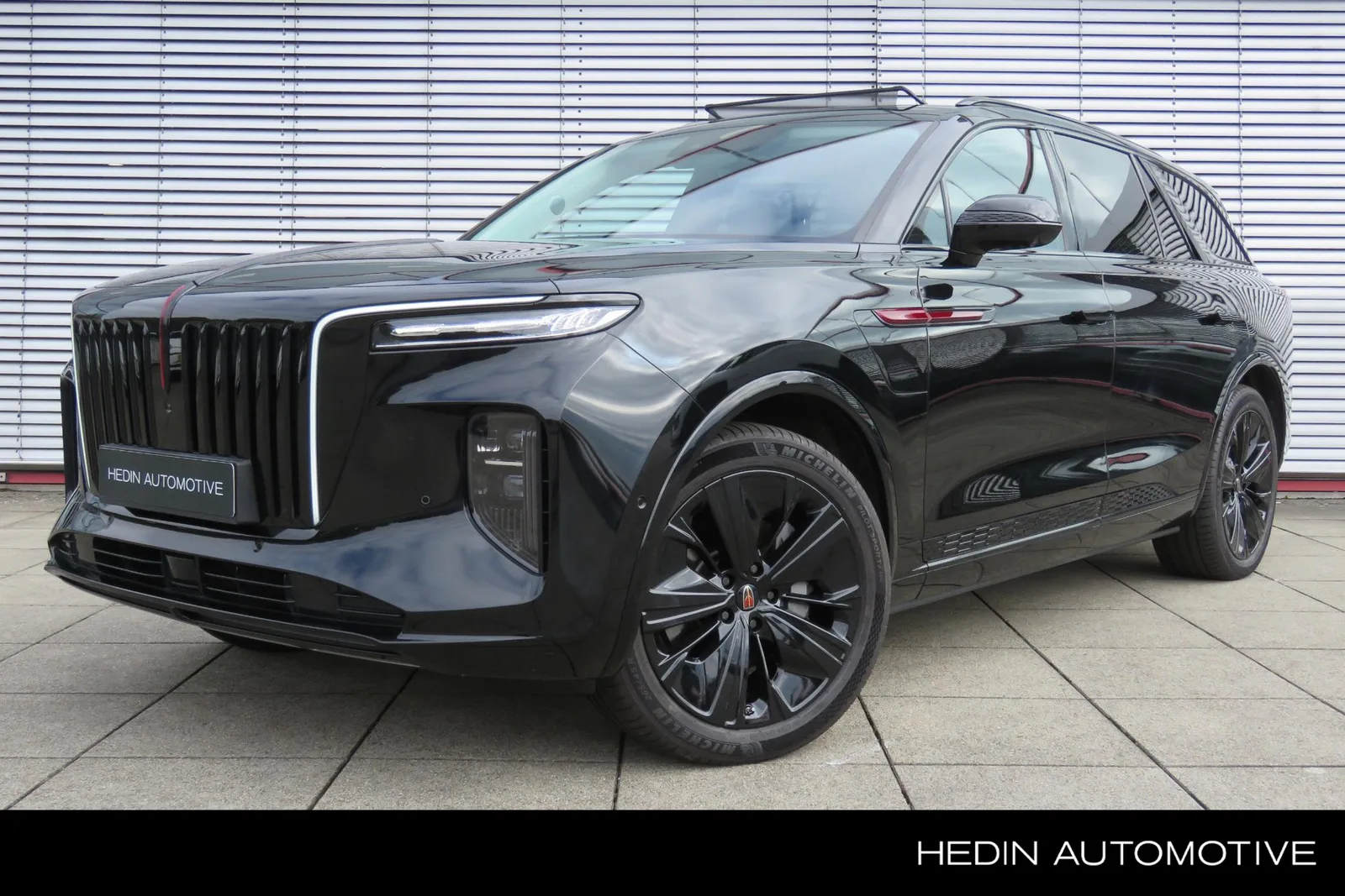 Hongqi E-HS9 (2024) — foto 1
