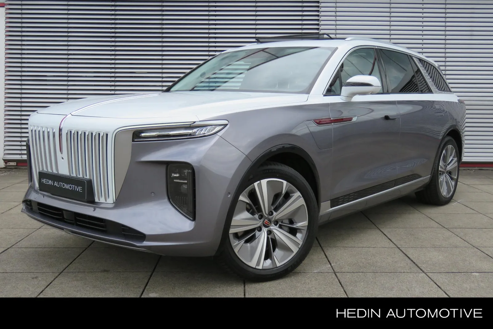 Hongqi E-HS9 (2023) — foto 1
