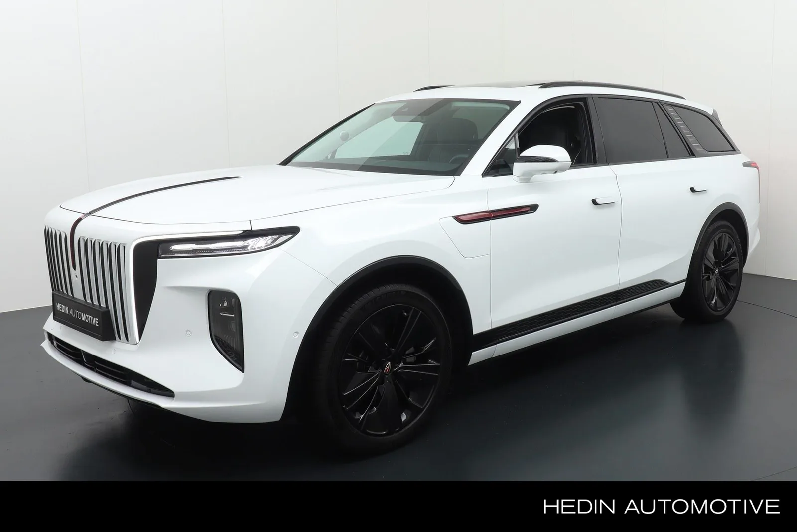 Hongqi E-HS9 (2023) — foto 1