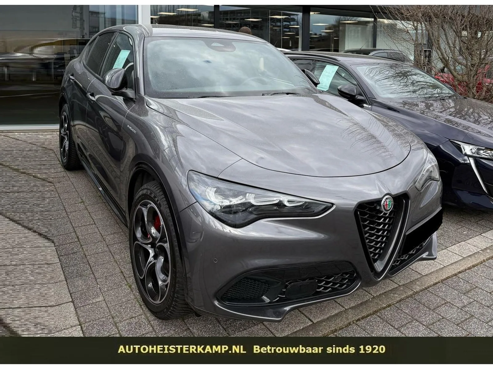 Alfa Romeo Stelvio (2024) — foto 1