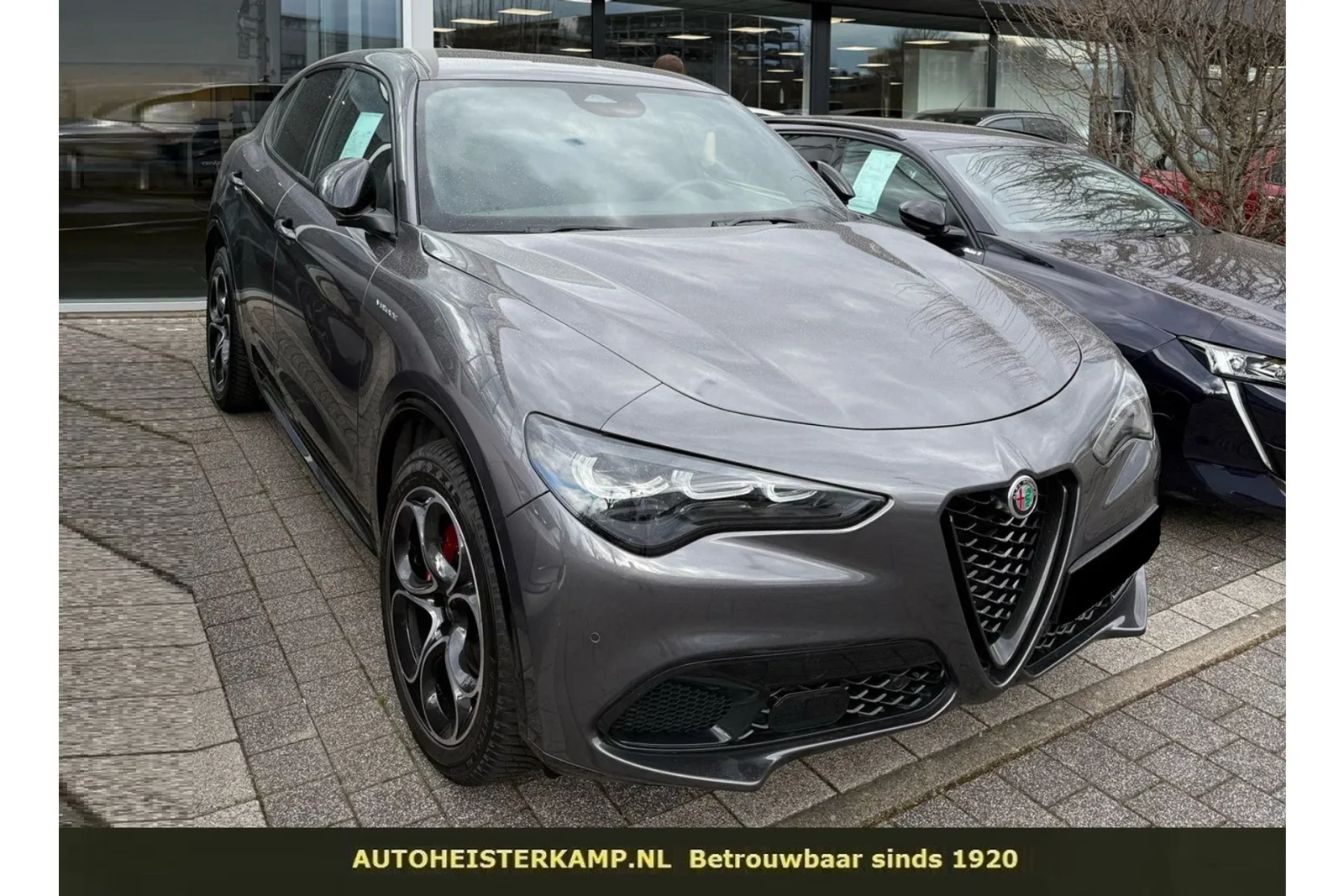 Alfa Romeo Stelvio (2024) — foto 1