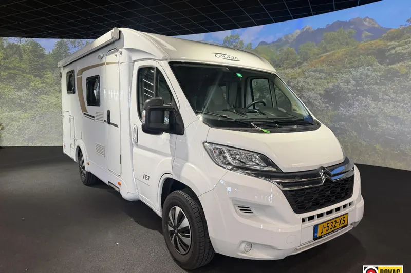 Carado V 337 (2019)