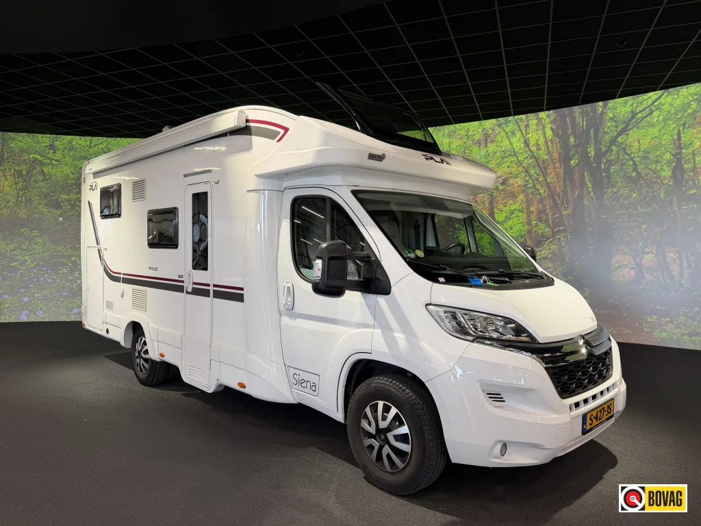 P.L.A. Camper Siena (2021) — foto 1