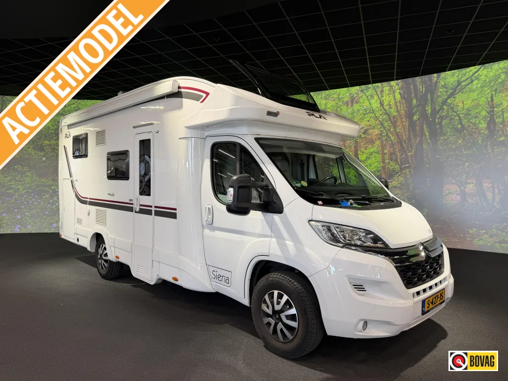 P.L.A. Camper Siena (2021) — foto 1
